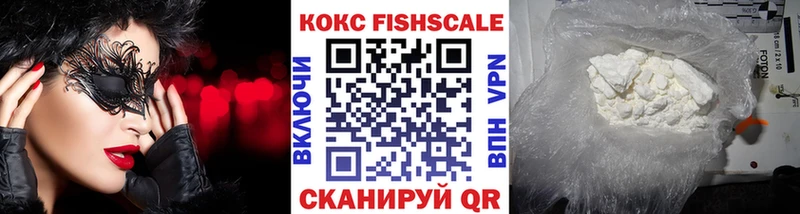Купить закладки  Инсар  COCAIN Fish Scale 